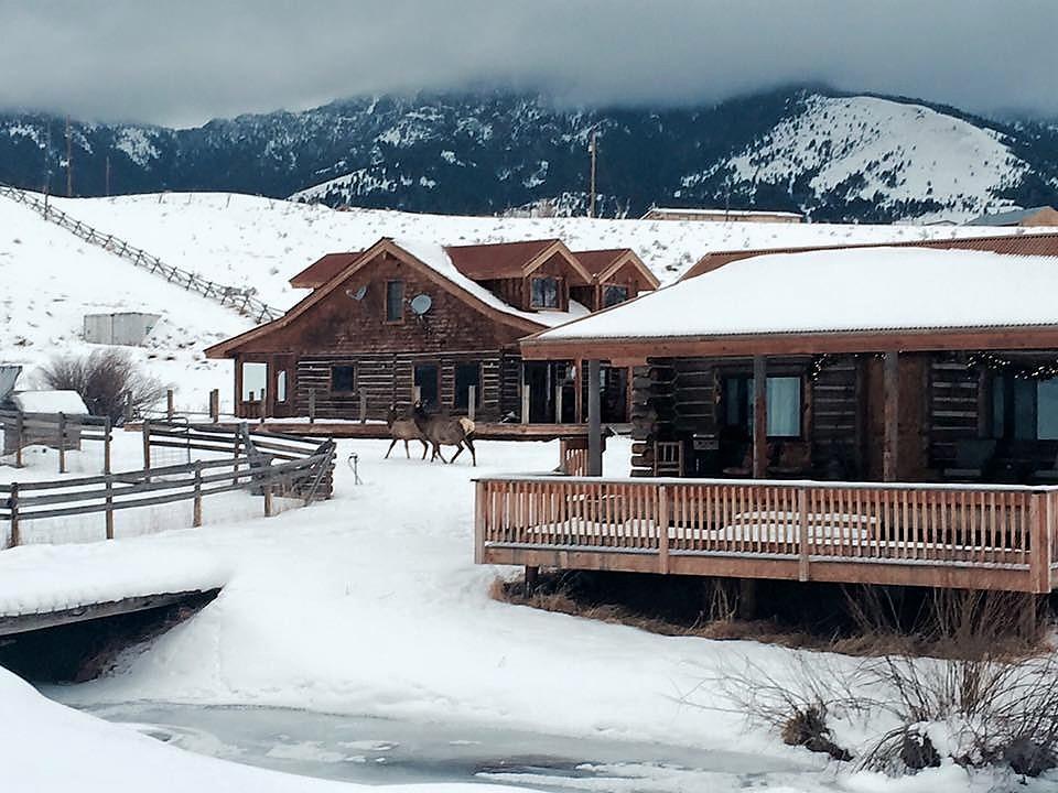 Creek Cabin Gardiner Exterior photo